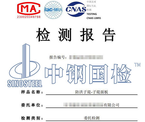 防洪子堤檢測報告